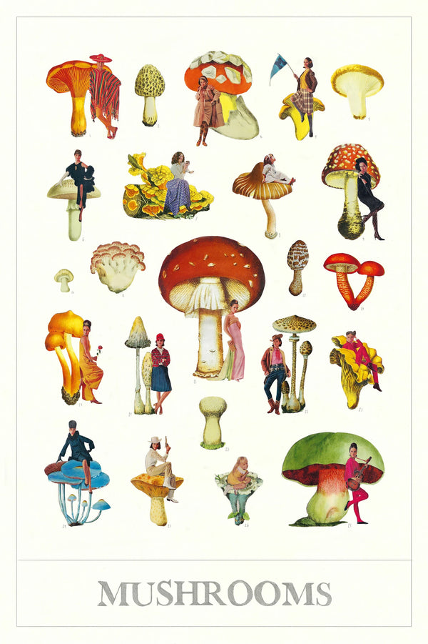 Mushroom 18.5 x 28cm